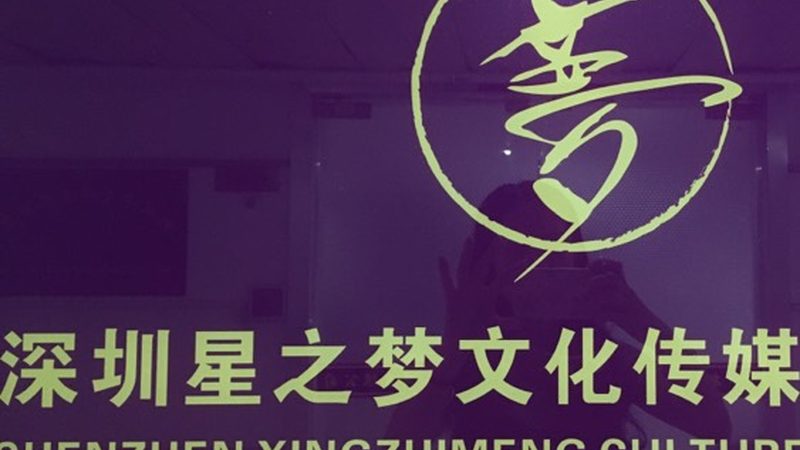 婚庆策划：揭秘一场完美婚礼的幕后流程